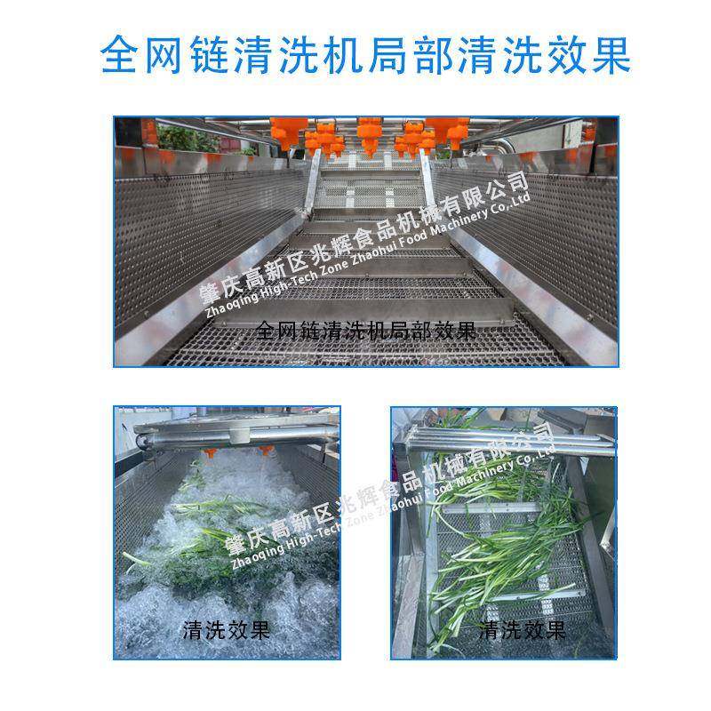 菜去泥沙气泡清洗机速冻果蔬全自动洗菜机青毛豆清洗速冻设备,淘宝优惠券,粉丝福利购,淘宝优惠卷