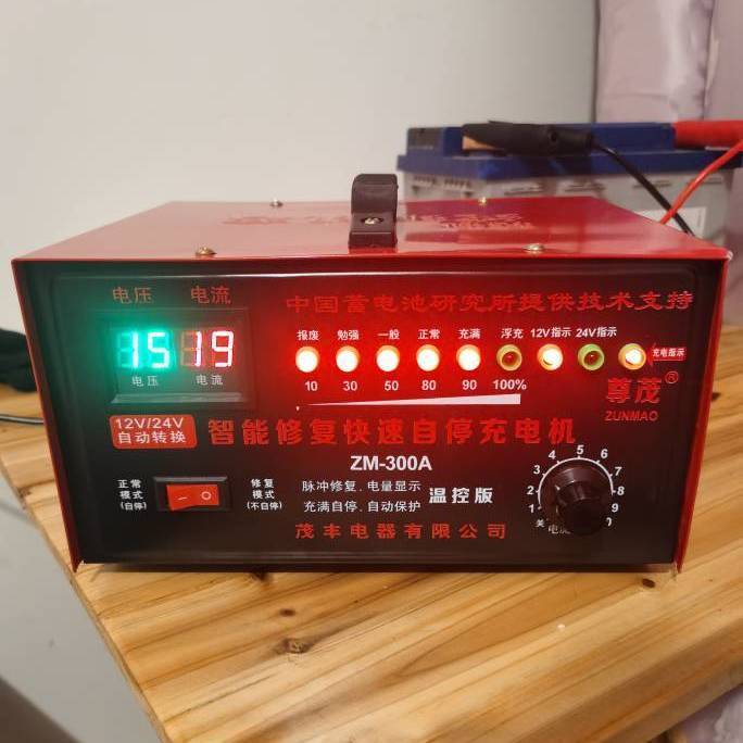 德国进口纯铜汽车电瓶充电器6V12V24V伏全智能通用大功率蓄电池充 - 图2