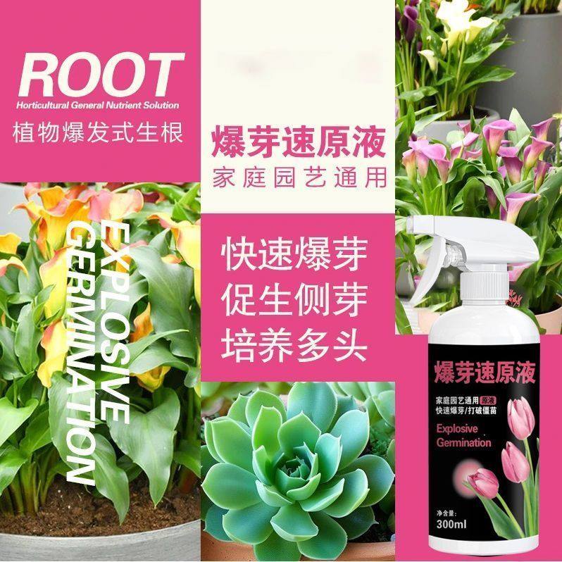 爆芽素原液正品通用绿植多肉三角梅促芽催芽营养液叶插花卉爆芽素,淘宝优惠券,粉丝福利购,淘宝优惠卷