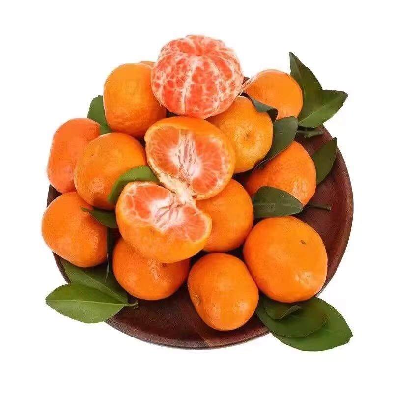 正宗广西砂糖橘10水果新鲜当季橘子整箱斤纯甜金秋沙糖桔非无籽,淘宝优惠券,粉丝福利购,淘宝优惠卷