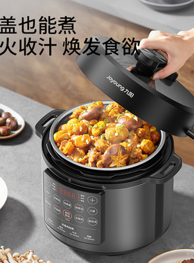 高压锅家用双胆微压电饭煲新款