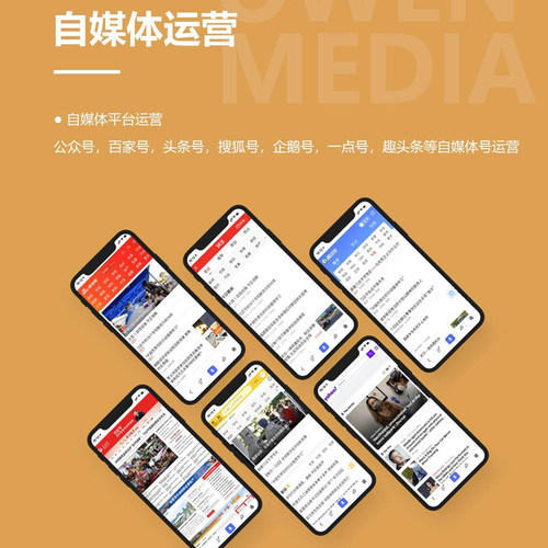 工业制造业企业互联网推广网络营销托管代运营SEO优化服务 - 图0