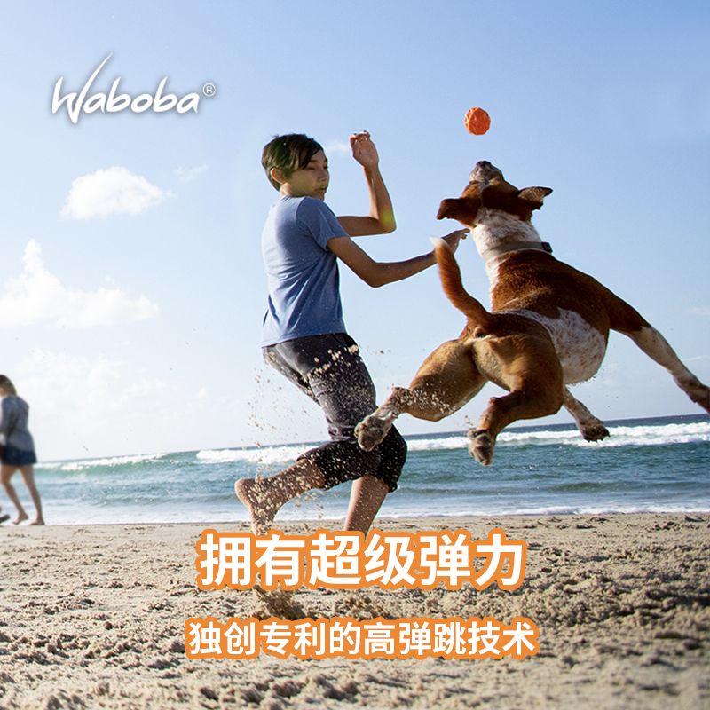 Waboba Tailwind狗狗高弹球耐咬磨牙中大型犬宠物飞盘玩具套装 - 图2