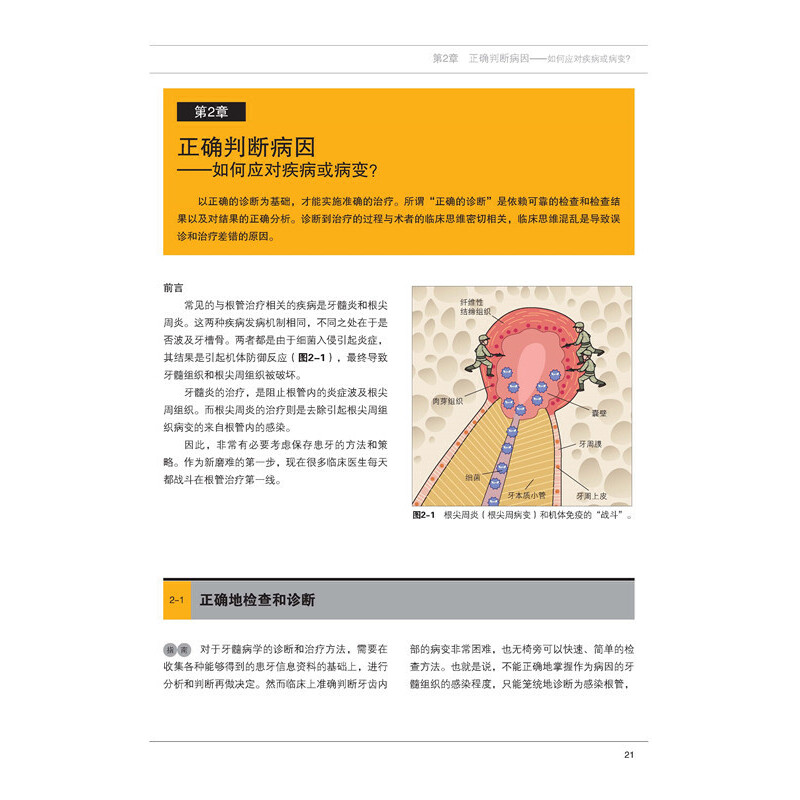 【书】根管治疗失败的真实原因鶴町保临床医学口腔科牙体牙齿种植畸形矫正手术技巧根管工具操作教程辽宁科技出版社书籍-图2