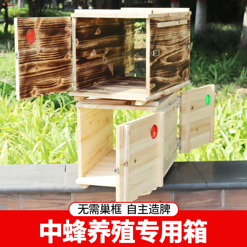 新款双开门土养蜂箱沉盖蜂箱中蜂箱老式诱蜂桶养殖峰箱蜜养蜂木桶 - 图2