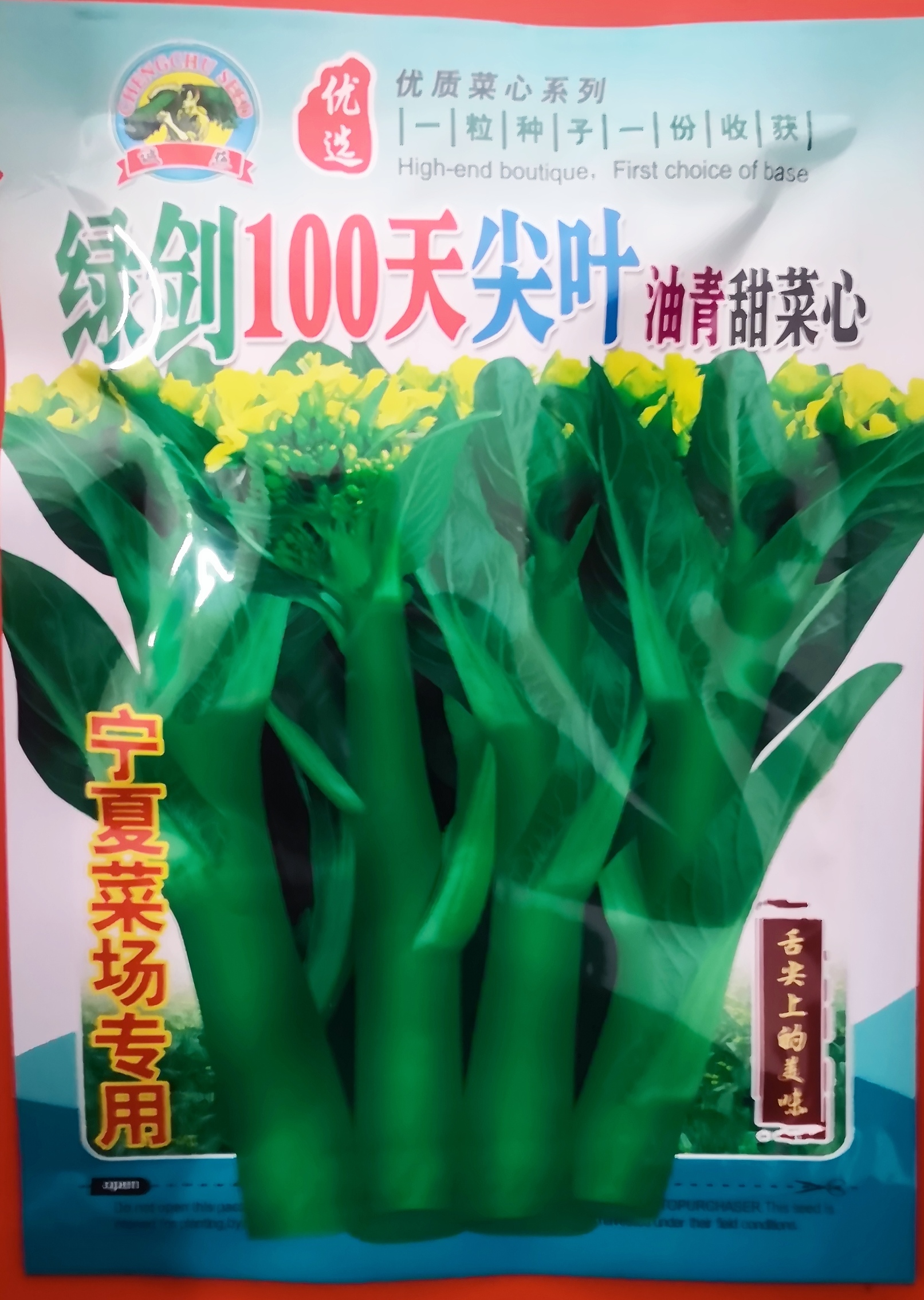 菜心种子绿剑70/100天尖叶油青甜菜心种子 - 图2