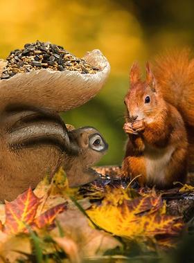 爆品树脂工艺品摆件松鼠动物造型喂食器家居园艺装饰厂家直供