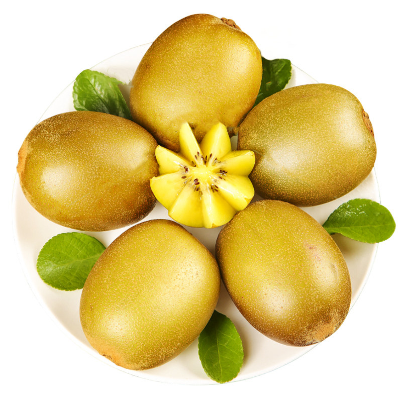  黄六爷果多多奇异果/猕猴桃