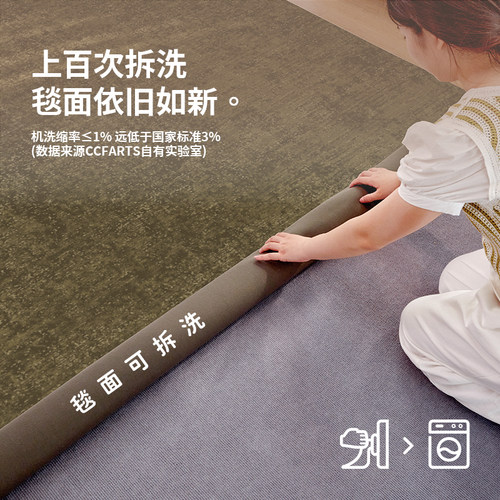 【质感肌理款】CCF 法国橡木苔中古风双层可拆洗机洗客厅地毯纯色 - 图1