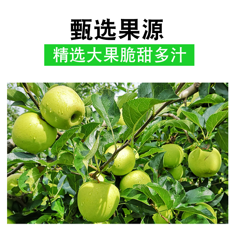 无糖苹果醋饮料低糖0卡0脂肪无糖原醋苹果汁饮品夏季解渴果汁整箱