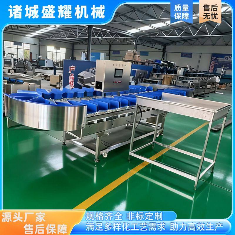 9级红薯重量分选机 北极贝克重分拣机 三文鱼块称重分级机盛耀,淘宝优惠券,粉丝福利购,淘宝优惠卷