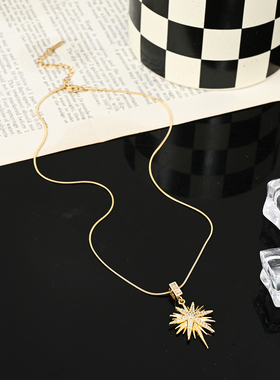 【GoldenOctagram】项链