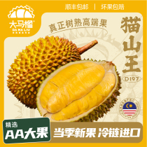 Large horse dura D197 cat mountain king durian Zhengzong Malaysia imports liquid nitrogen frozen fruit for the season fresh