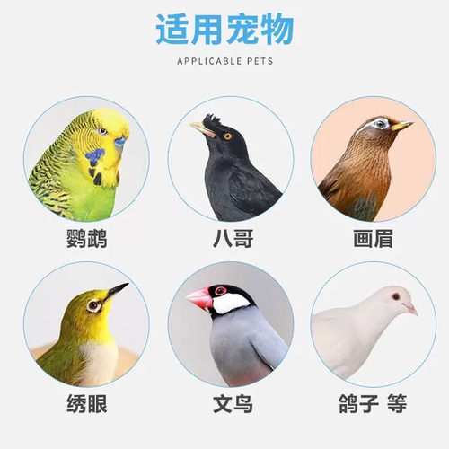 鹦鹉鸟类用一喷净驱虫药体外除螨虫喷雾八哥玄凤鸽子除羽毛虱跳蚤 - 图1
