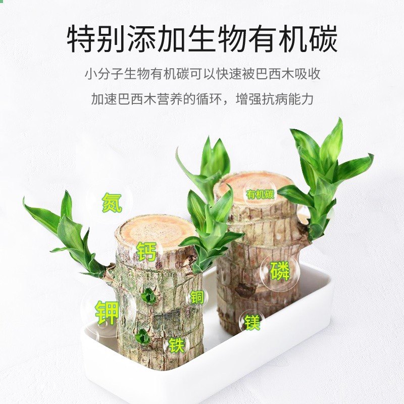 免稀释巴西木专用营养液家用花卉盆栽植物液体肥室内花肥料幸运木