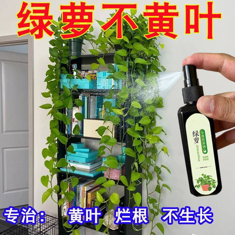 营养液植物通用型花肥盆栽花卉绿萝富贵竹发财树水培家用养花肥料 - 图3