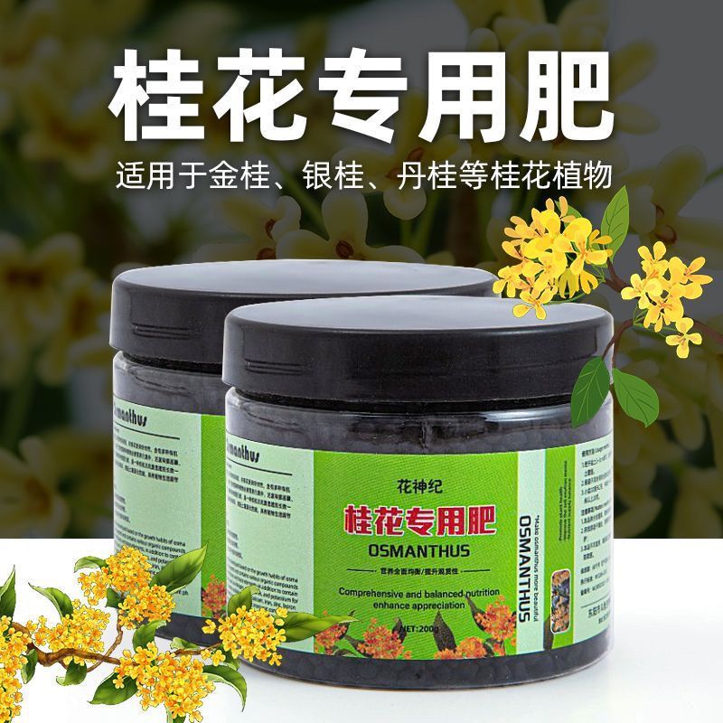 桂花枯叶病黄叶焦叶尖干叶虫孔叶斑病落叶专用肥桂花树肥料专用肥-图3