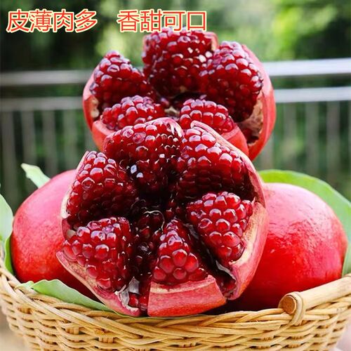 石榴树树苗突尼斯软籽石榴特大庭院果树南方北方盆栽地栽石榴果苗 - 图1