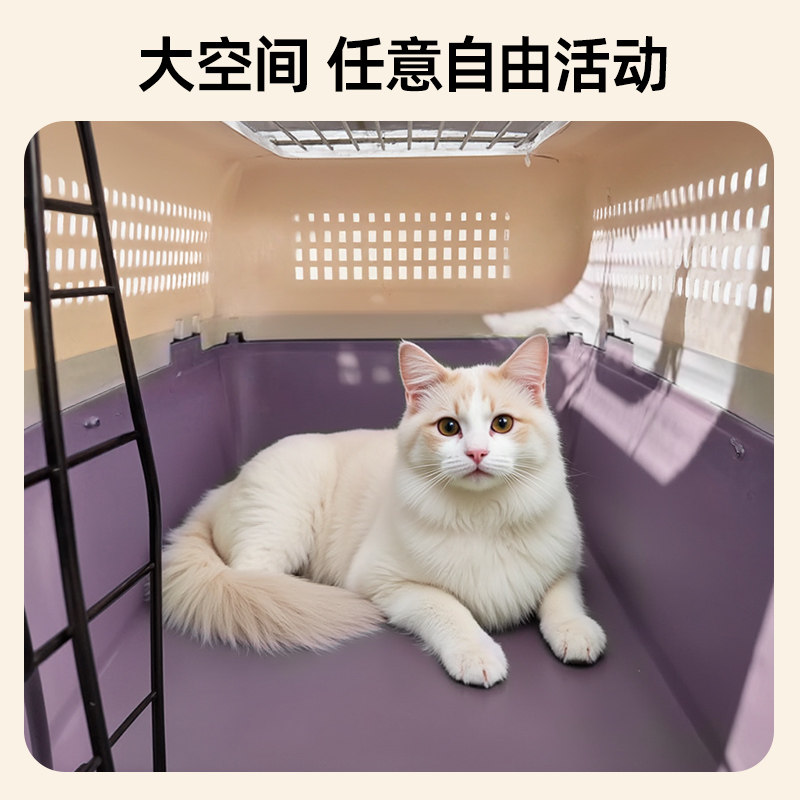 猫咪航空箱猫笼子便携外出国航宠物托运箱小中大型犬车载狗笼猫包,淘宝优惠券,粉丝福利购,淘宝优惠卷