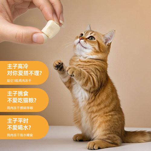 冻干鸡肉粒猫咪零食鸡胸肉冻干宠物训练奖励营养磨牙猫鸡肉冻干桶-图1