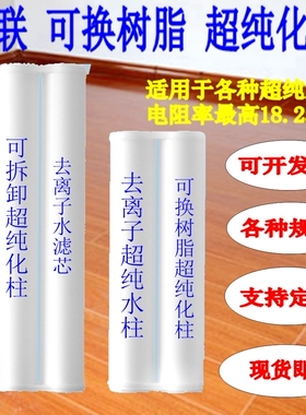 实验室纯水机超纯化柱纯水柱预处理柱RO膜双通道UP滤芯阴阳离子柱