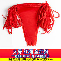 Hurricane Opening Triangle Strings Flags Small Colorful Flags Hoisting Strings Flags Large Red Flag Red Rope 100 m A pack of prices