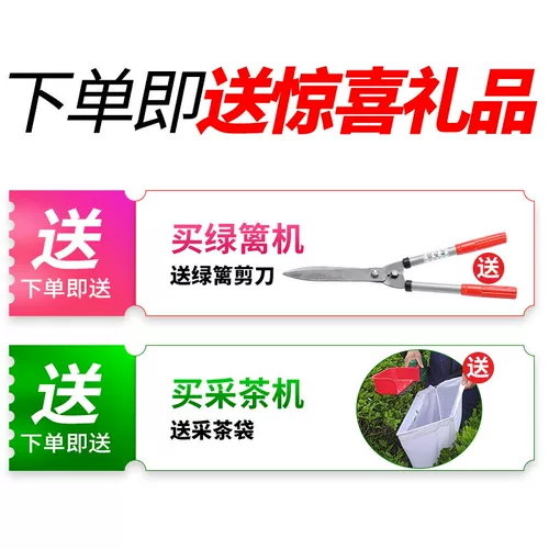 Электрическая хедж -машина заряжая чай