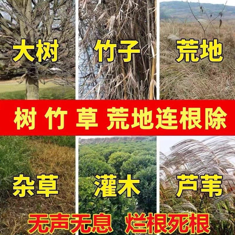 大树烂根药大树一滴死烂树根剂强力腐树根草竹子枯树王专用神器,淘宝优惠券,粉丝福利购,淘宝优惠卷