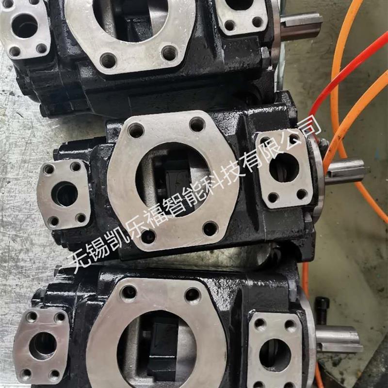 T6EC-042-025,T6EC-042-022价格 注塑机油泵 叶片泵厂家 - 图1