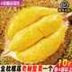 SF Authentic Thai Golden Pillow Durian One Guobaofang