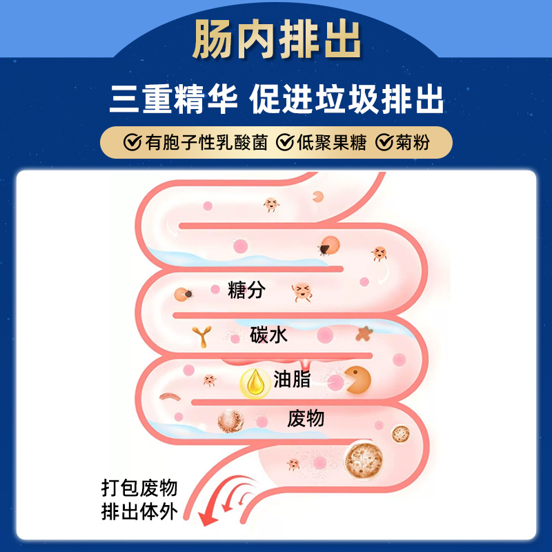 日本SHUUI修意葛花植物阻断酵素丸分解肚腰腹部糖分大餐60粒