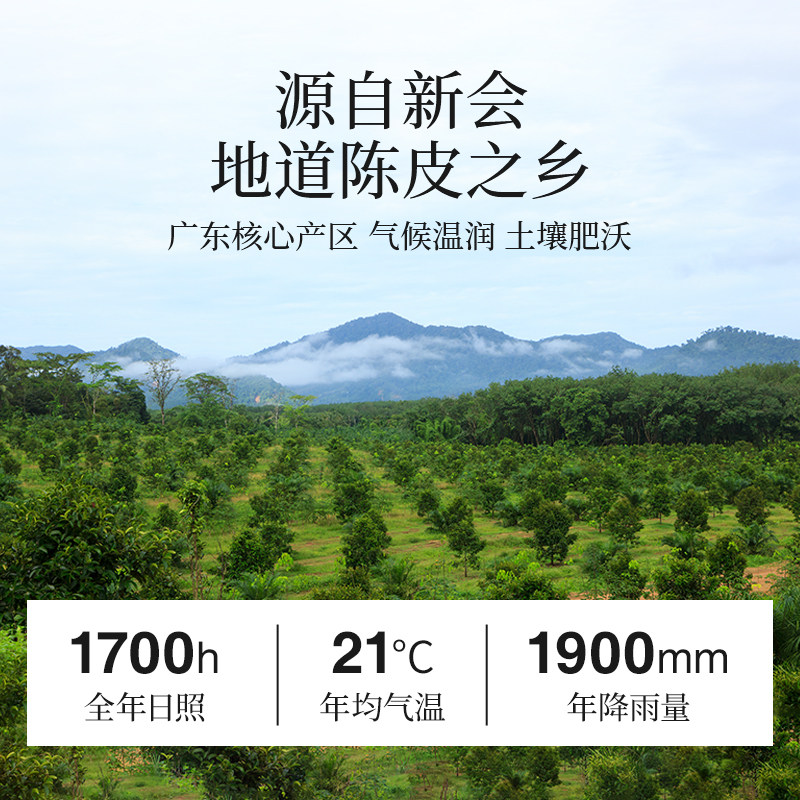 李陌茶广东特产正宗生晒大红皮陈皮泡柑普茶叶罐装正品送礼,淘宝优惠券,粉丝福利购,淘宝优惠卷