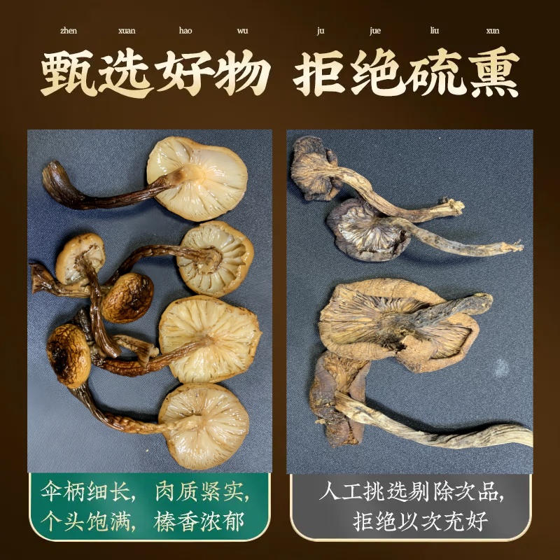 榛蘑小鸡炖蘑菇东北臻真蘑干山货山珍黑磨菇丁野生菇黑龙江特产 - 图1