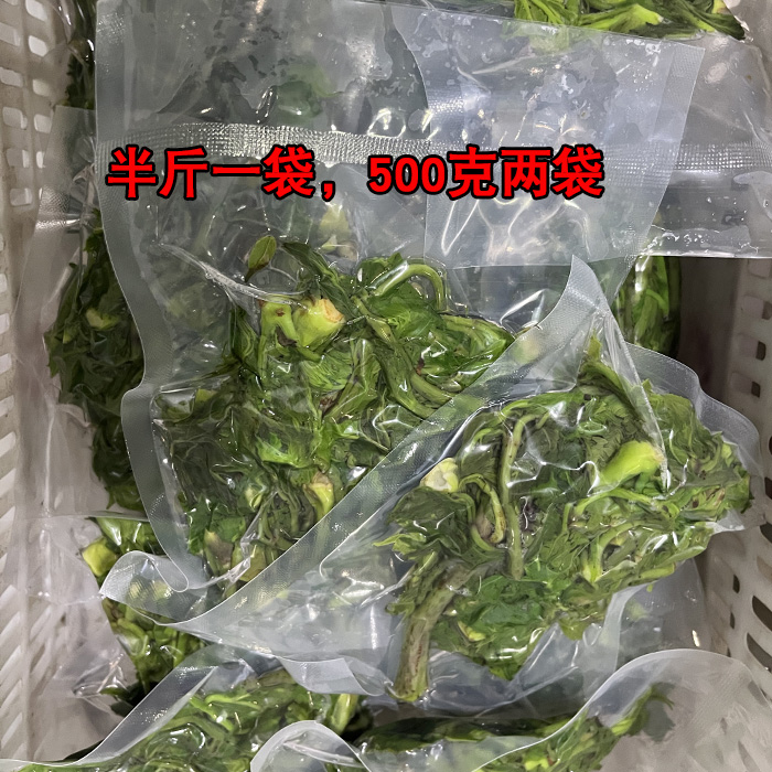 山野菜刺嫩芽新鲜速冻东北辽宁特产野生山菜蘸酱菜蔬菜刺老芽顺丰 - 图1