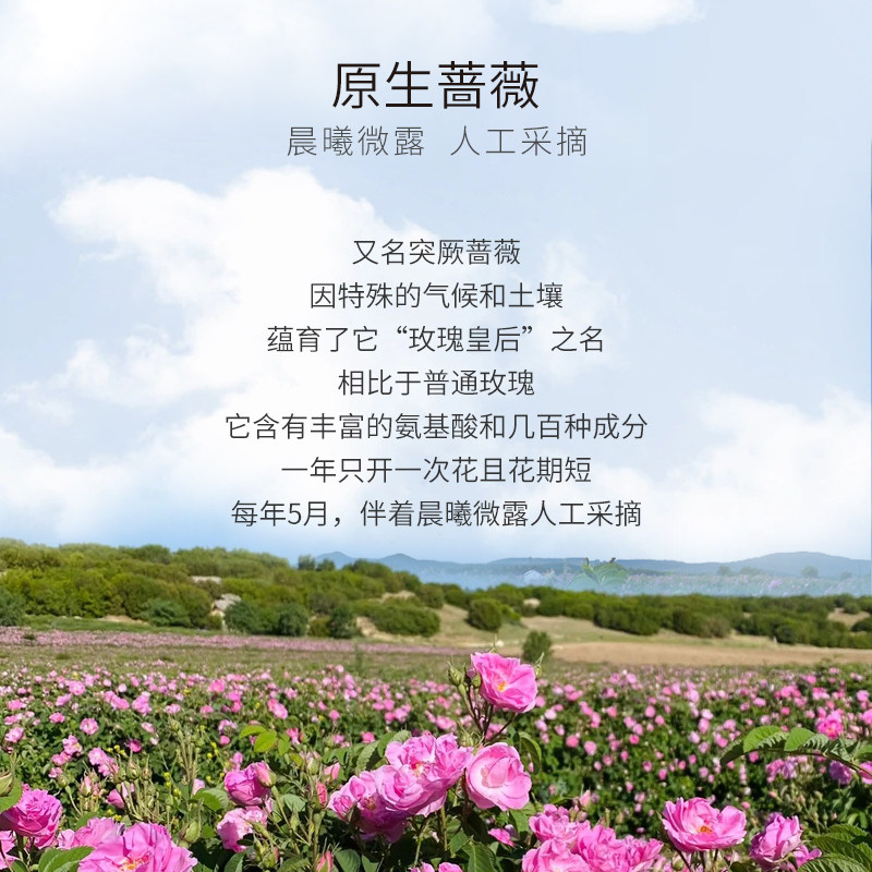 COSFACE保加利亚玫瑰精油深层滋润脸部按摩焕亮光泽改善暗沉10ml