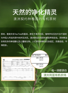 cosface澳洲茶树精油祛痘