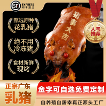 Zhengzong Wa Cylinder Charcoal Grilled Guangdong Crisp Piggy Suckling Pig Whole Only Gift Opening Wedding Banquet 4 Catties Now Roast Now for commercial Spring Festival Business