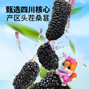 【三只松鼠_罐装桑葚干250g】四川黑桑椹泡水泡酒无沙无添加免洗