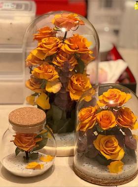 永生花玻璃罩干花保存瓶玫瑰干花标本透明玻璃罩装饰桌面摆件防尘