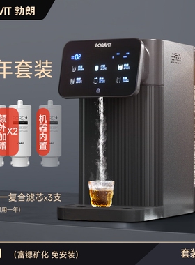 BORAVIT勃朗净饮水机家用即热一