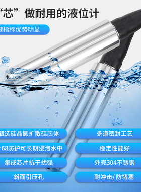 投入式液位显示器电子水位仪液位计变送器水位感测水箱水池控制器