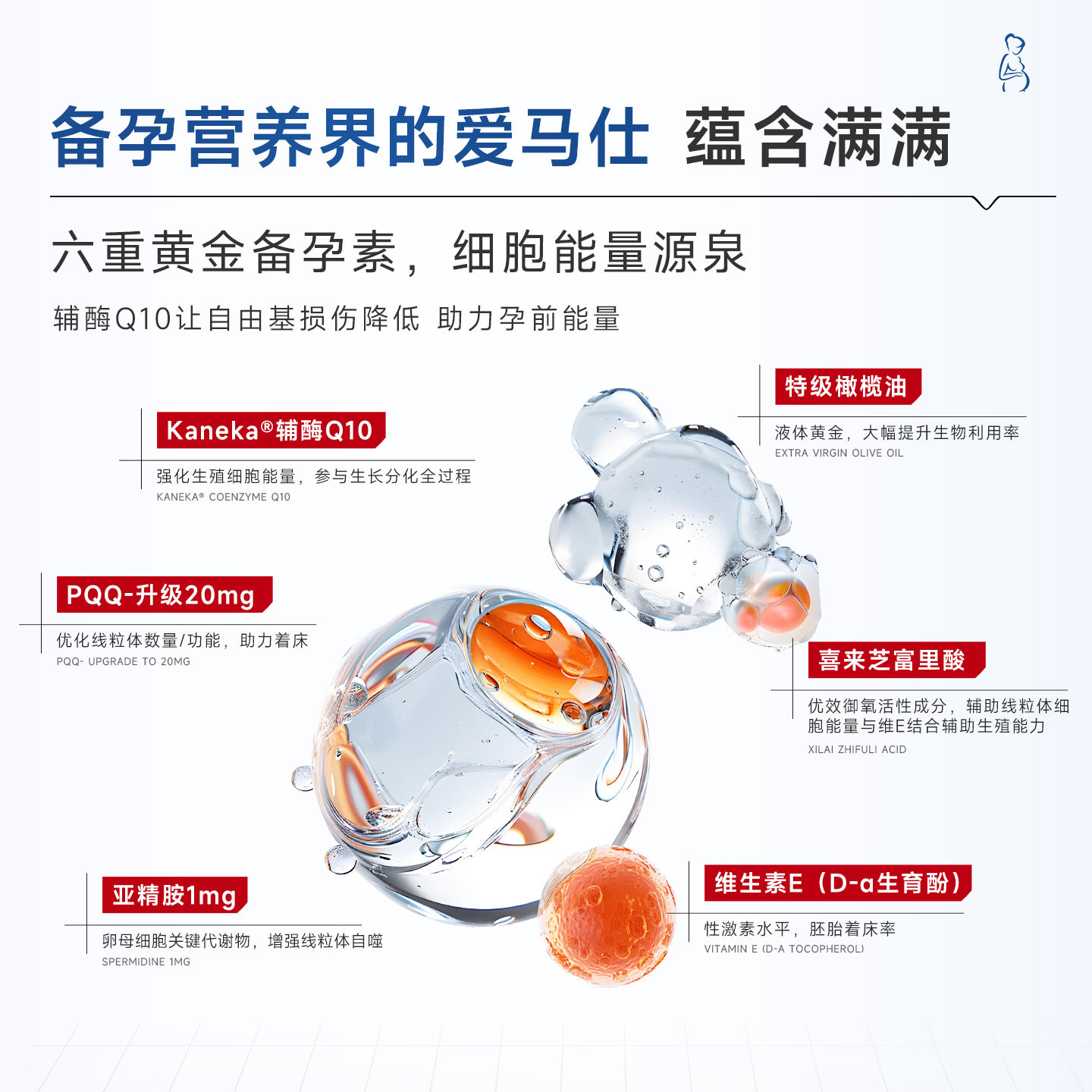 【自营】沿寿还原型泛醇辅酶q10备孕女提高PQQ软胶囊卵子质量正品,淘宝优惠券,粉丝福利购,淘宝优惠卷