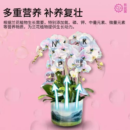 植物活菌粉兰花专用微生物菌剂养根壮根防烂根正品有益菌养花高效 - 图3