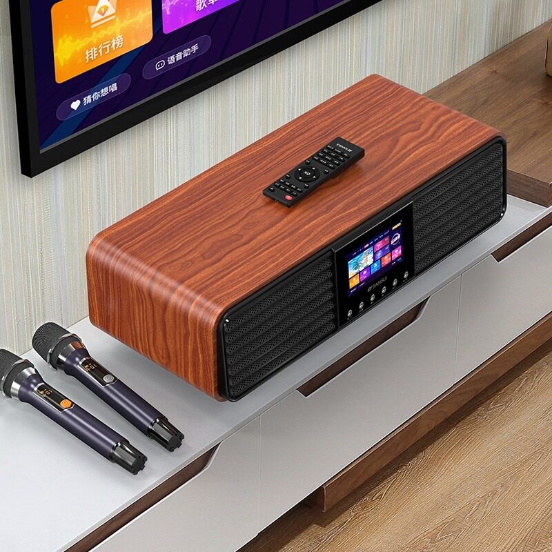  山水名子KTV/卡拉OK音箱