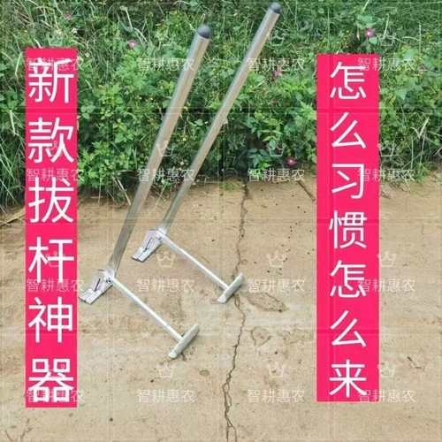 Родерс тянет сигаретный полюс сигарет -флагты стержневого стержня.