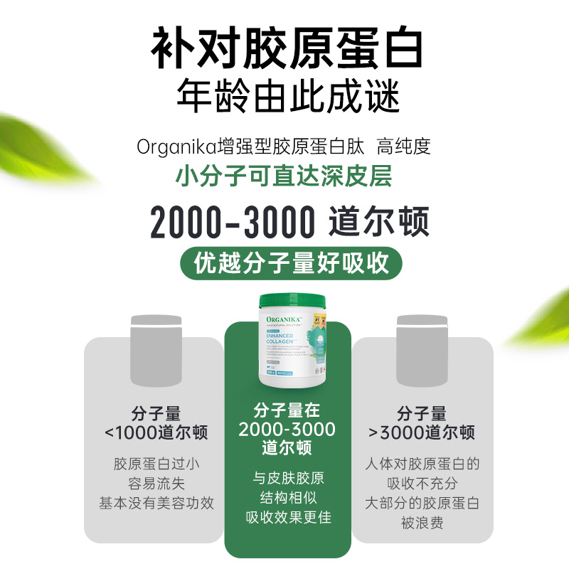 Organika奥加尼卡胶原蛋白肽美颜水解小分子肽草饲牛胶精华500g-图1