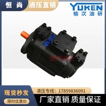 Elm hydraulic Atos pin-type vane pump PFED-54129 029037045056070085
