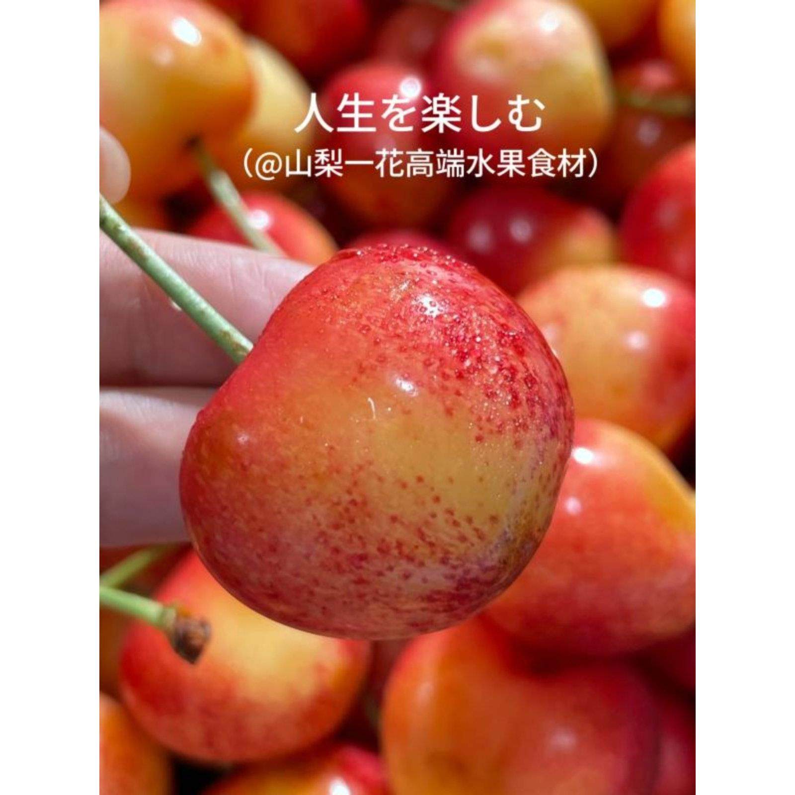 现货4JJJJ黄车厘子智利进口水果新鲜4斤礼盒黄金雷尼尔黄色樱桃1,淘宝优惠券,粉丝福利购,淘宝优惠卷