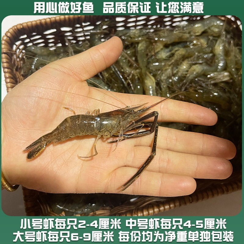 微山湖新鲜淡水小河虾鲜活的速冻大青虾草虾鱼食醉虾土虾生鲜顺丰,淘宝优惠券,粉丝福利购,淘宝优惠卷