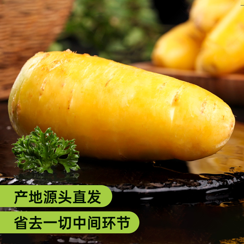 新疆黄萝卜5斤手抓饭专用食材新鲜蔬菜农家自种糖心黄色胡萝卜